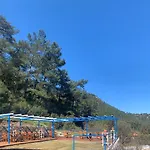 Alp Turunç