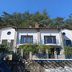 Alp Hotel