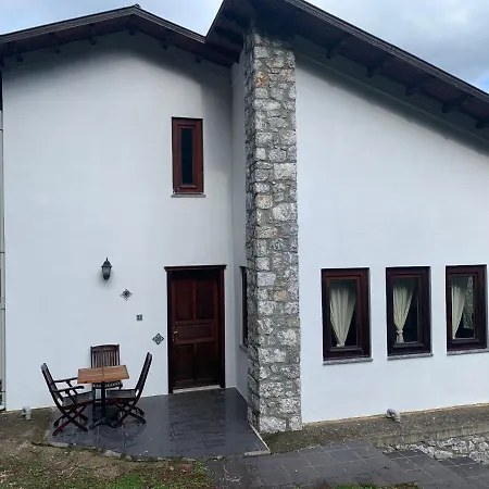 Alp Hotel