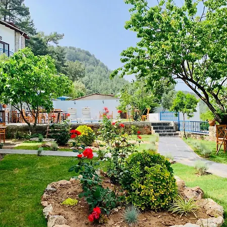 Alp Hotel *