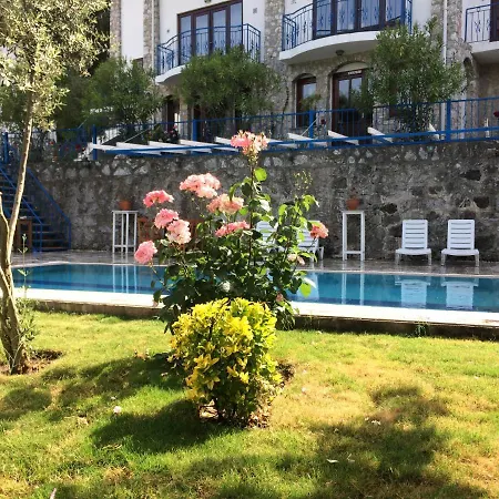 Alp Hotel *