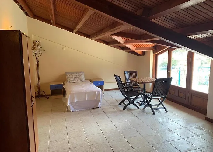 Alp Hotel