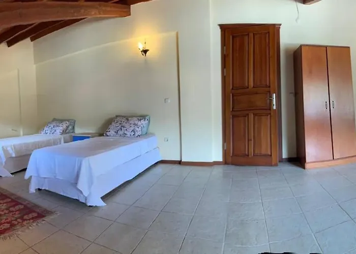 Hotel Alp *