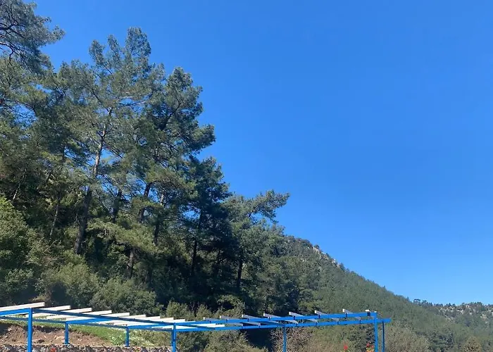 Alp Turunc