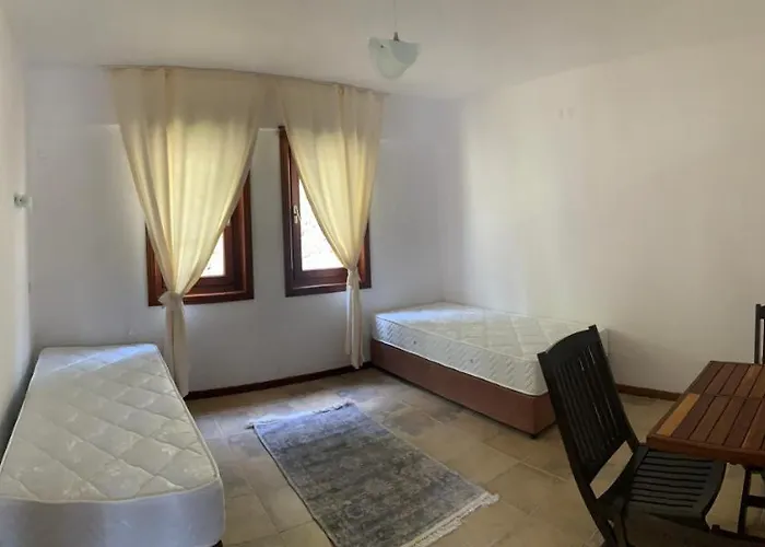 Alp Hotel *