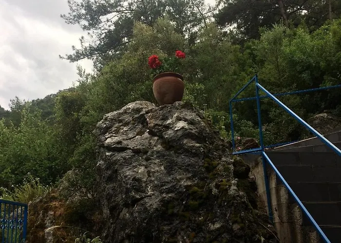 Alp Hotel *