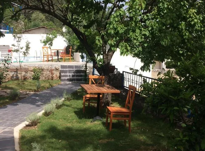 Alp Hotel