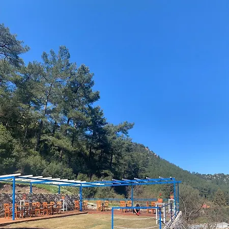 Alp Turunc