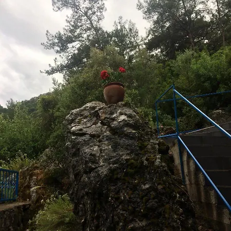 Alp Апарт-отель *