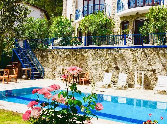فندق Alp